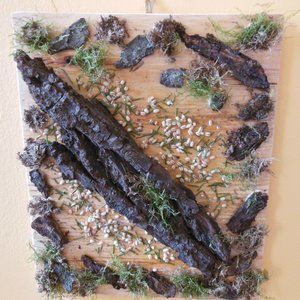 Moss & Bark Original Artwork